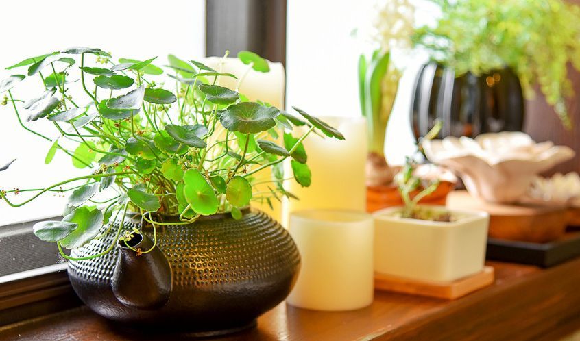 加入電商代運營的原因是_店鋪營銷_短視頻代運營