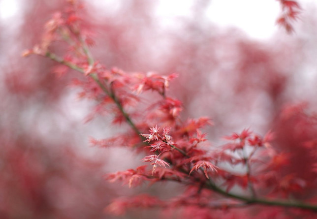 農產品短視頻營銷策劃