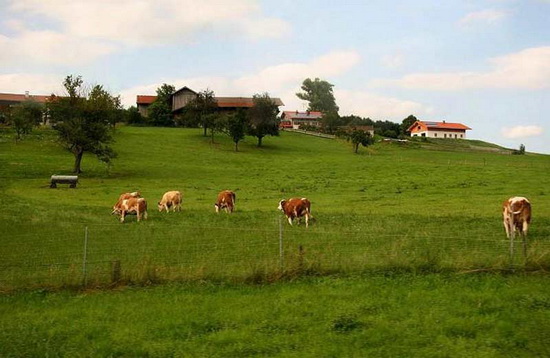 要想做好農(nóng)業(yè)品牌定位：這三大要素不能缺少！