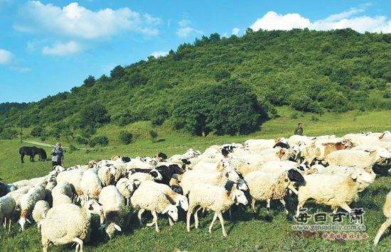 農業品牌策劃公司需要培養這樣的團隊嗎？