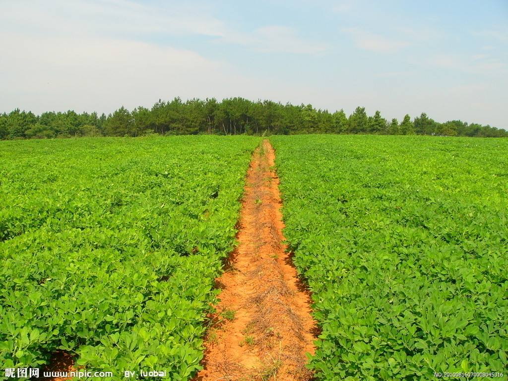 農業(yè)品牌營銷