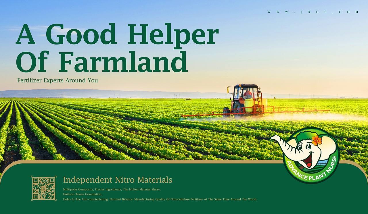 農業品牌策劃公司 農業品牌策劃公司