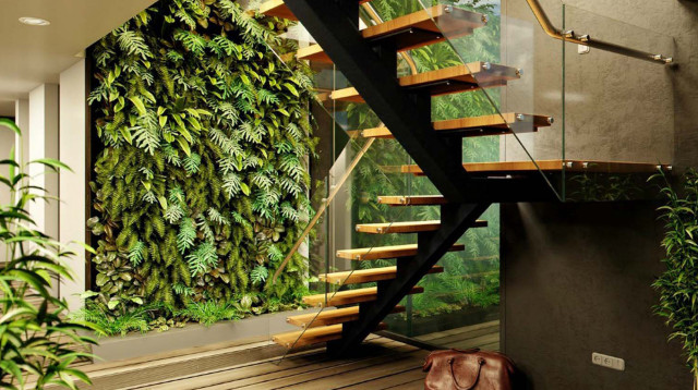 綠植租賃6.jpg 綠植租賃