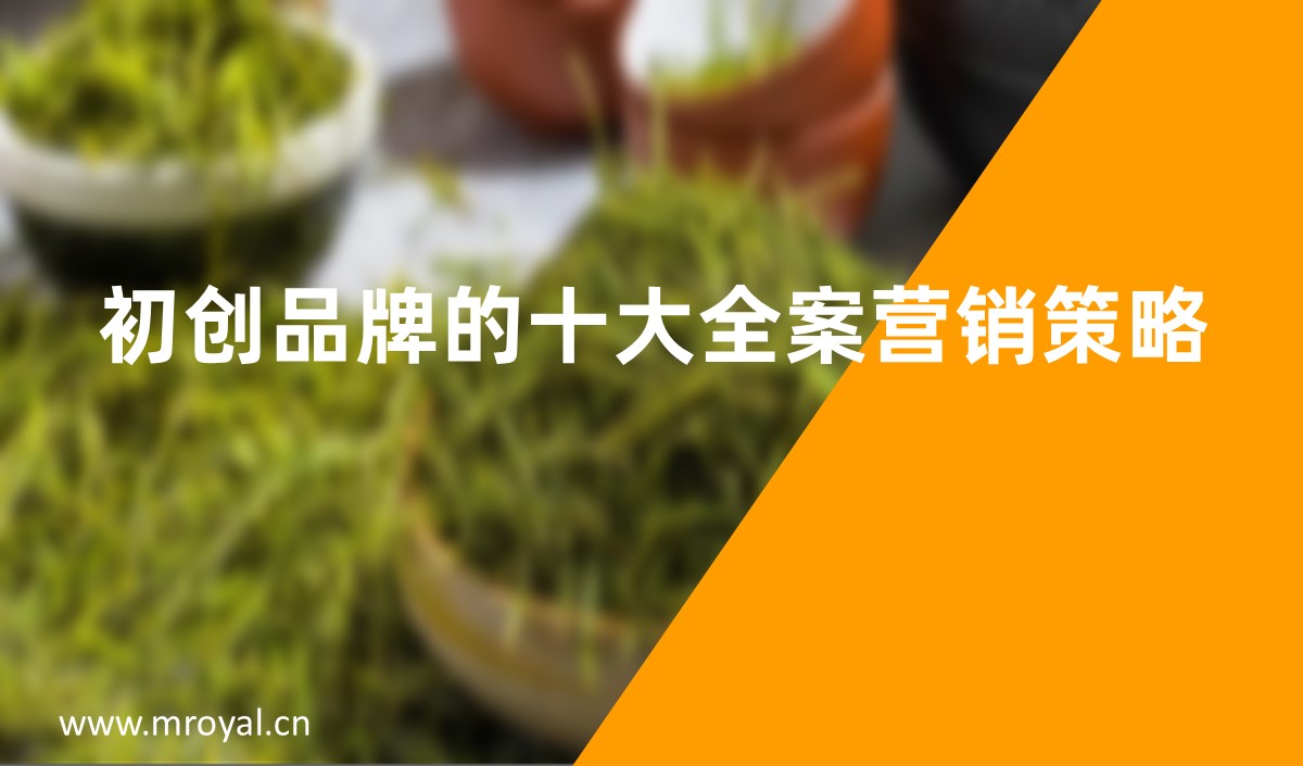 初創品牌的十大全案營銷策略