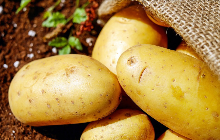 品牌全案設(shè)計(jì)如何賦予品牌象征意義與情感價(jià)值 品牌全案設(shè)計(jì)如何賦予品牌象征意義與情感價(jià)值