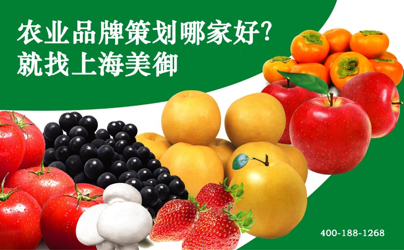 農業企業品牌發展戰略指導