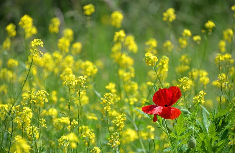 全案營銷公司 全案營銷公司