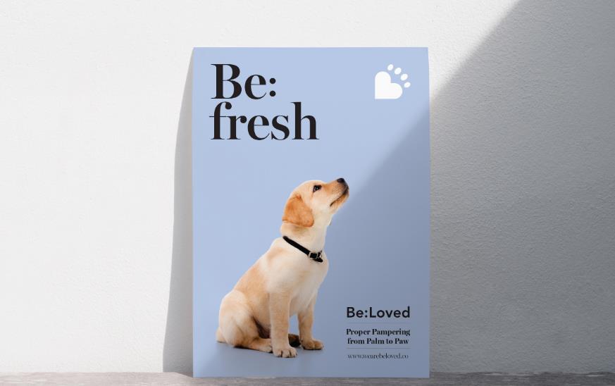 打造寵物護(hù)理品牌 打造寵物護(hù)理品牌