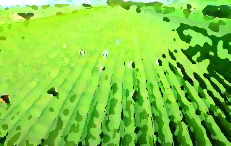 農業品牌提升機構，促進農業農村經濟轉型