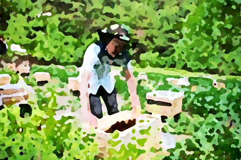 專業的農產品全案策劃企業所具備的三大因素