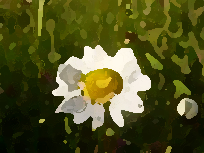 如何進行農業品牌形象提升？