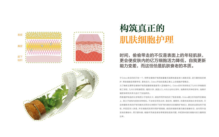 化妝品包裝設(shè)計