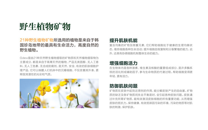 化妝品包裝設(shè)計