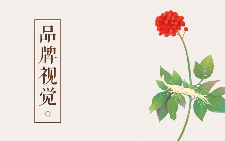 補補吧品牌全案策劃