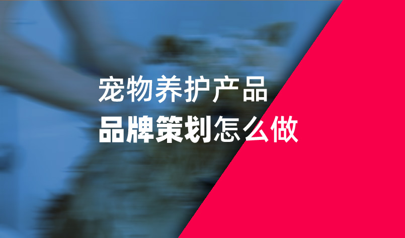 寵物養護產品品牌策劃怎么做