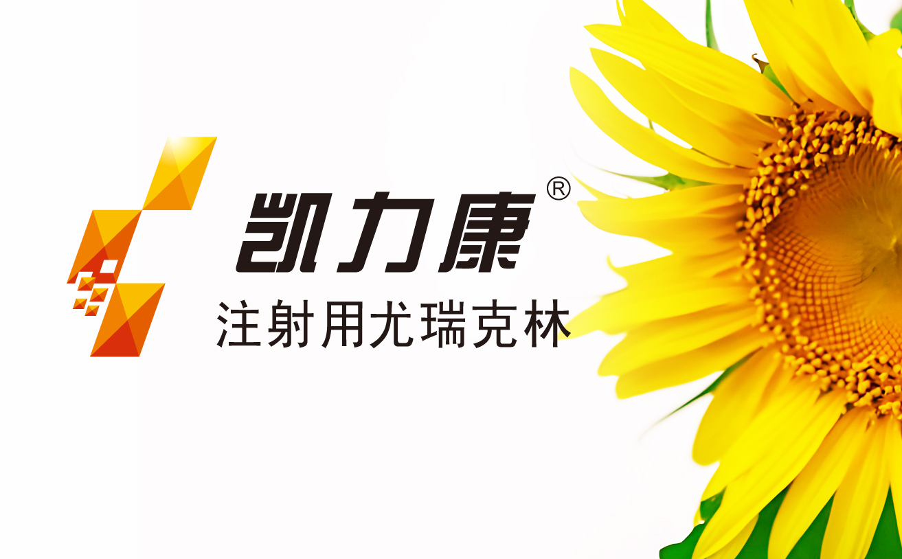 凱力康品牌VI設計,上海設計公司