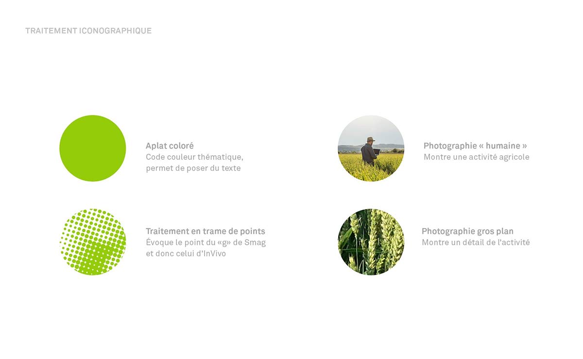 農業品牌VI設計 農業品牌vi設計