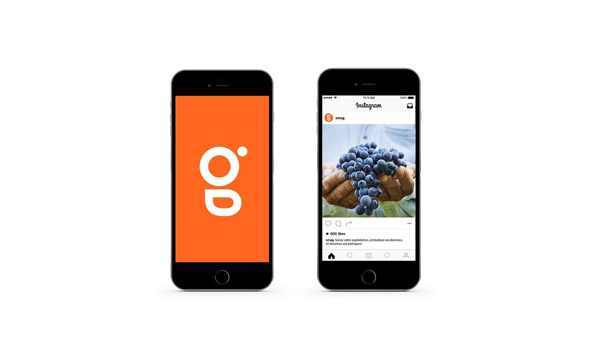 農業品牌VI設計 農業品牌VI設計