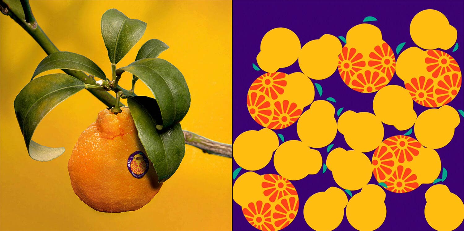 水果品牌設計 水果品牌設計