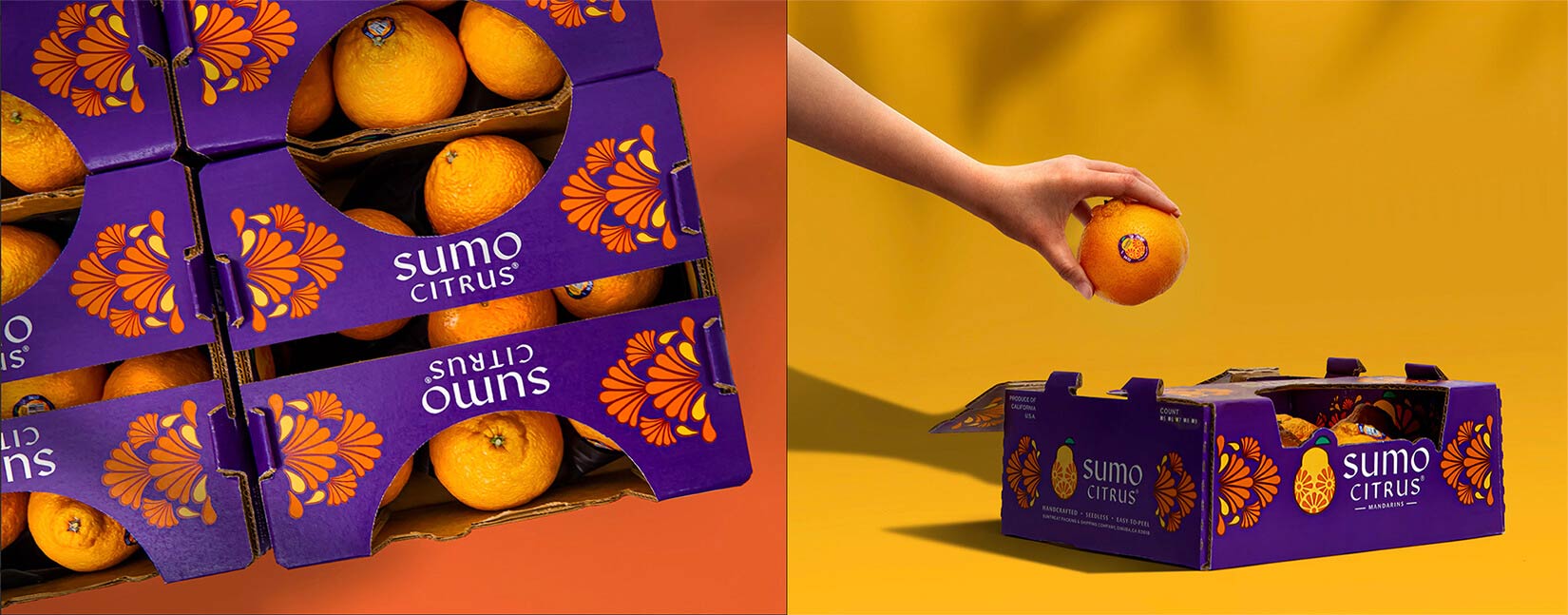 水果品牌設計 水果品牌設計