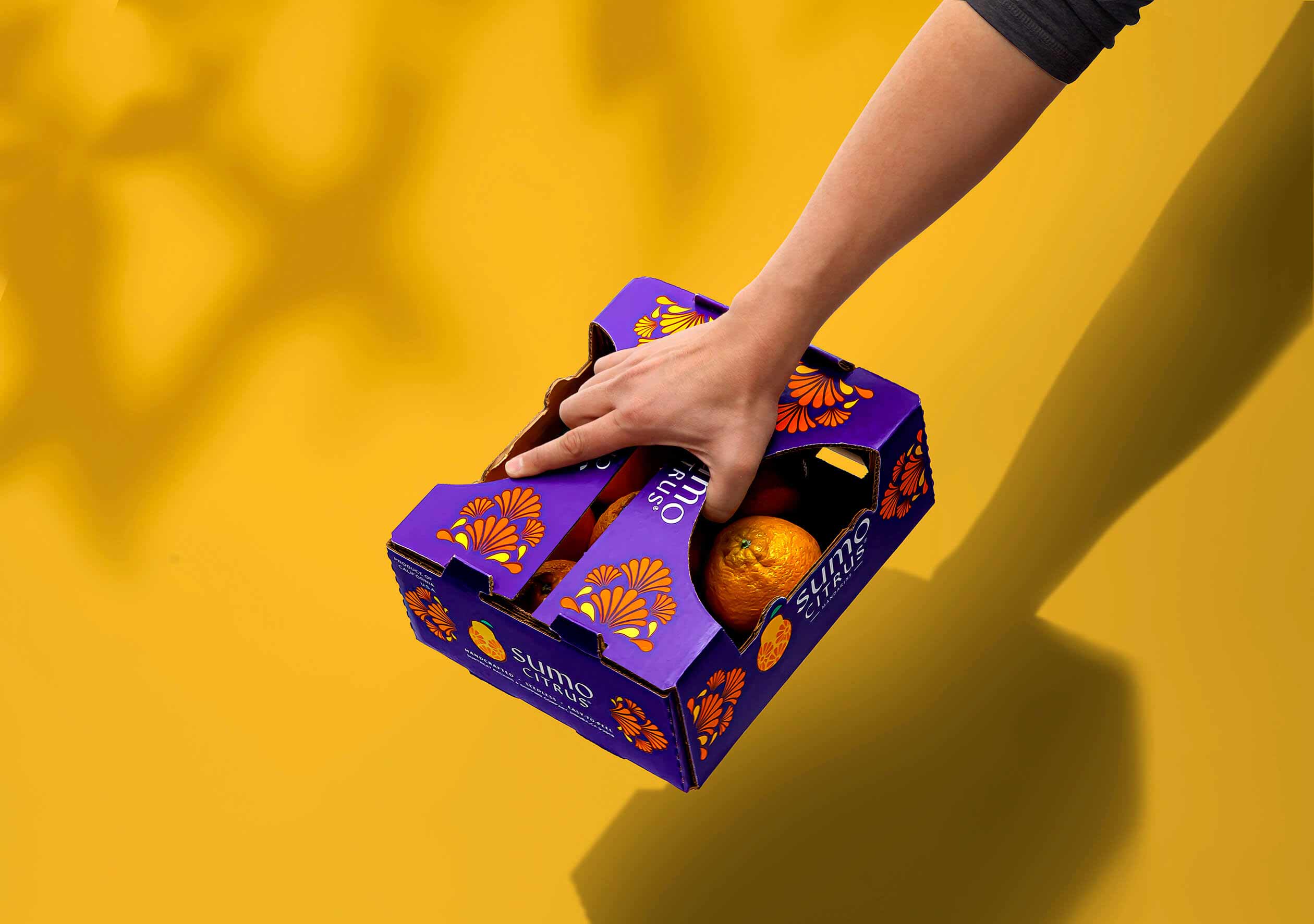 水果品牌設計 水果品牌設計