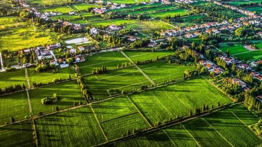 如何做好農業形象升級？