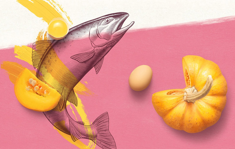 寵物食品包裝設計 寵物食品包裝設計