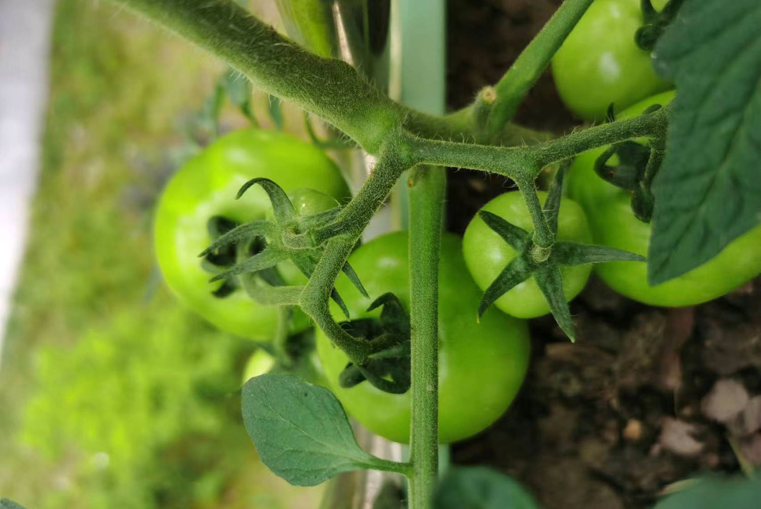 農產品公司如何策劃有競爭力的品牌定位 農產品公司如何策劃有競爭力的品牌定位