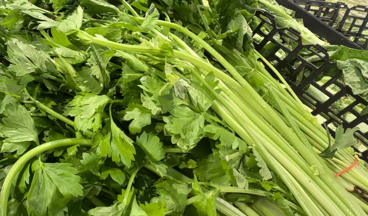 蔬菜農產品如何制定品牌定位戰略 蔬菜農產品如何制定品牌定位戰略