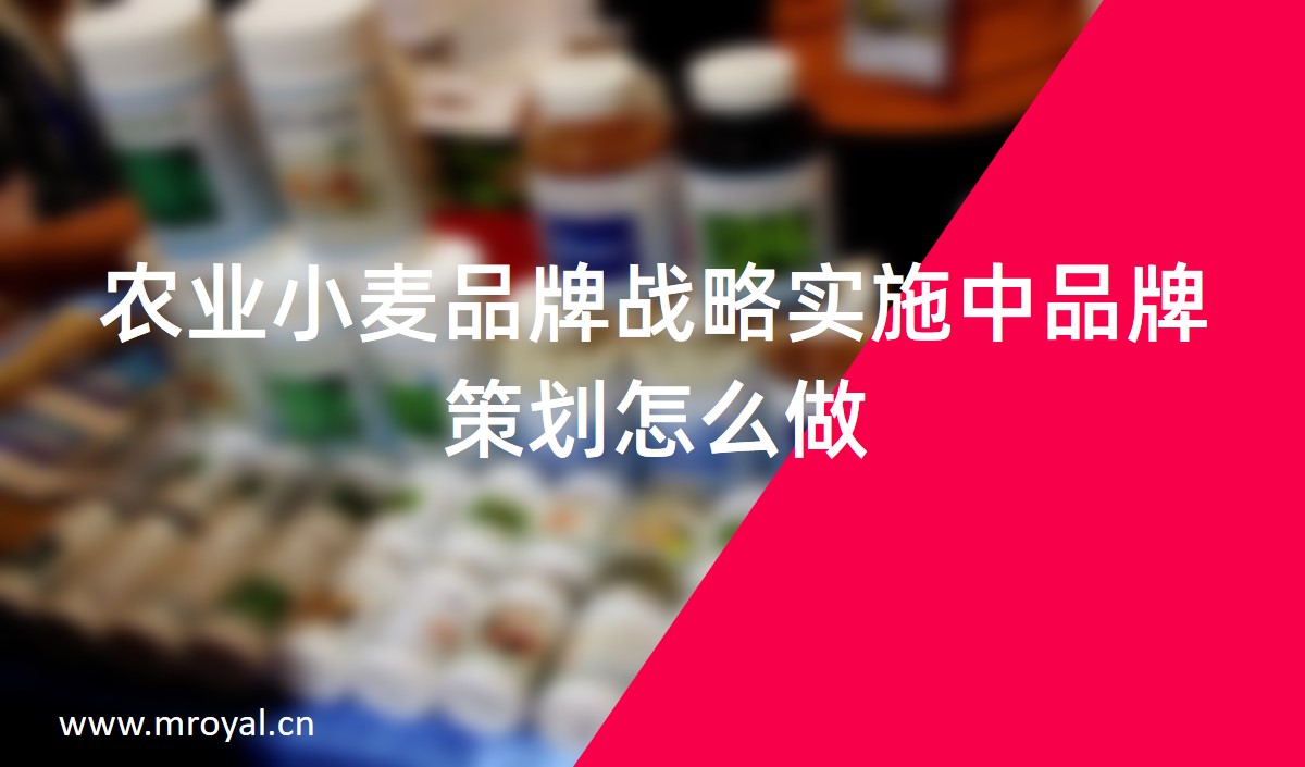 農業小麥品牌戰略實施中品牌策劃怎么做