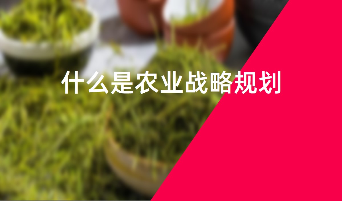 什么是農業戰略規劃