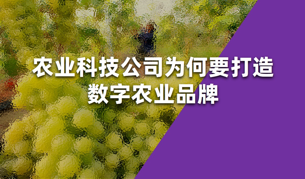 美御農業品牌策劃-農業科技公司為何要打造數字農業品牌
