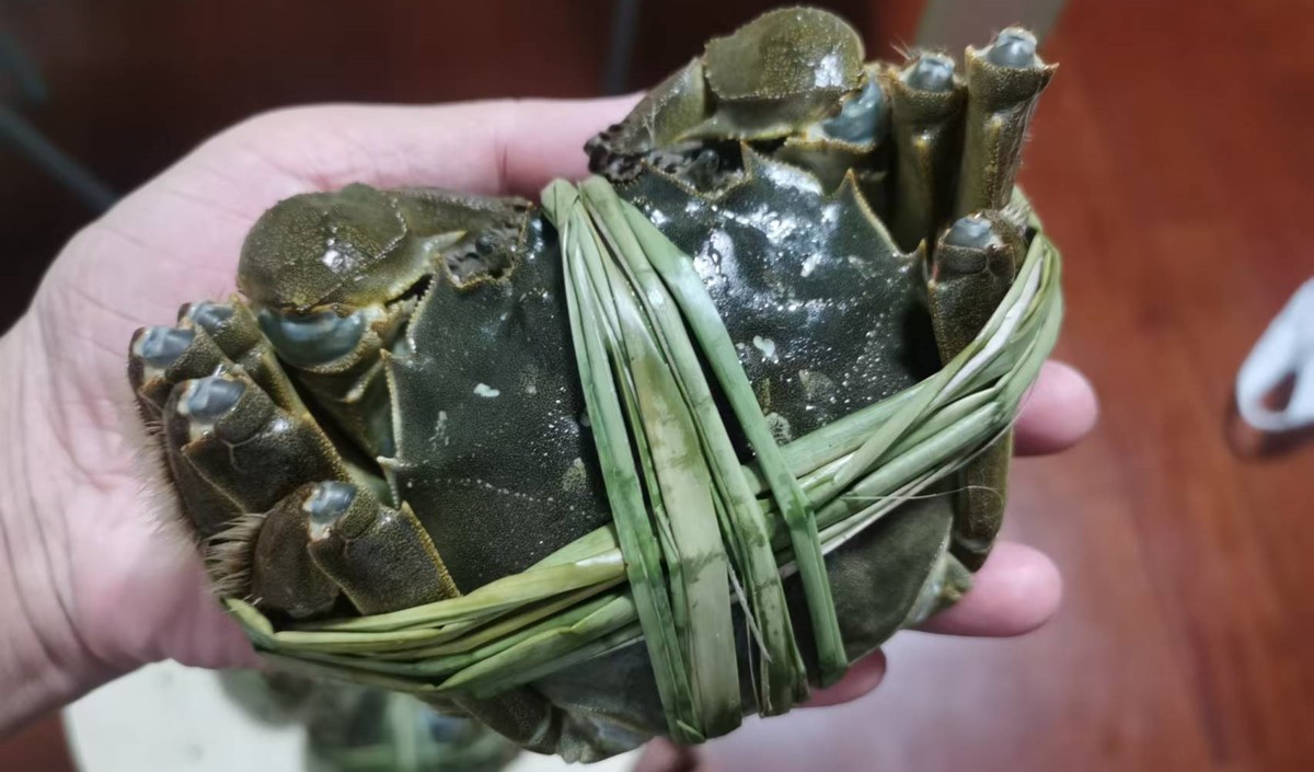 中秋節前的大閘蟹品牌營銷策劃方案