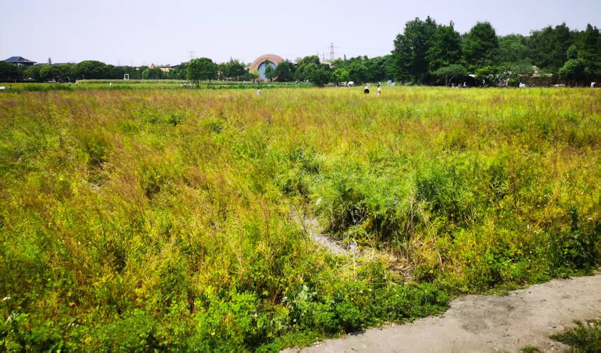 近郊農業公司如何打造高端現代農業品牌？