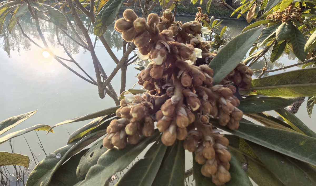 農業品牌策劃公司